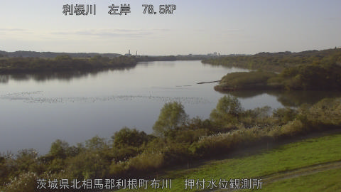 tonos2025111915_image