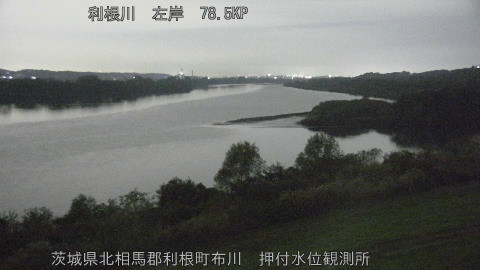 tonos2025112004_image