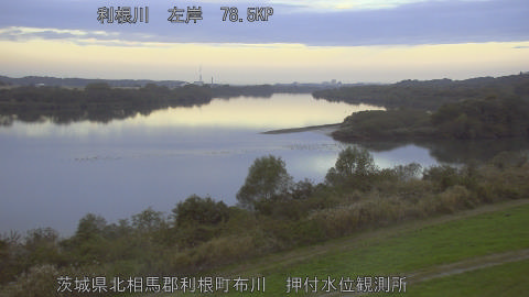 tonos2025112007_image