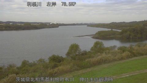 tonos2025112010_image