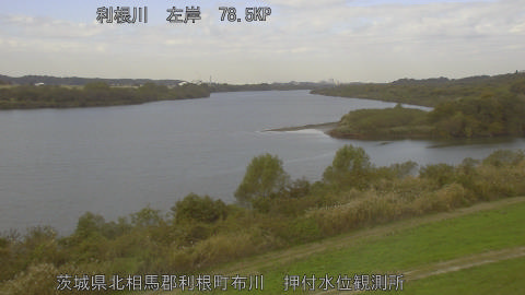 tonos2025112011_image