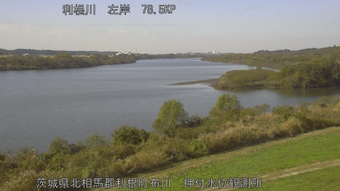 tonos2025112012_image