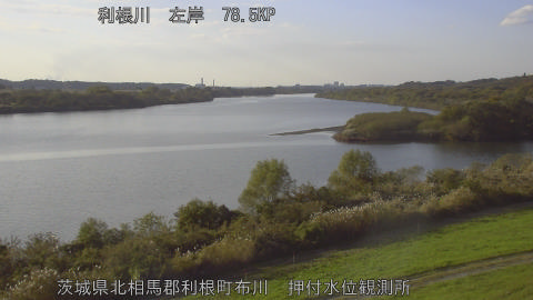 tonos2025112015_image