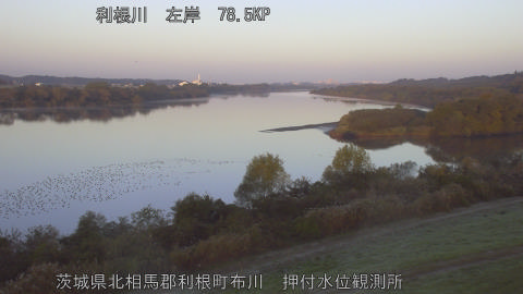 tonos2025112107_image