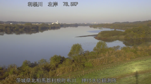 tonos2025112108_image