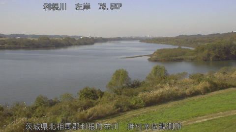 tonos2025112112_image