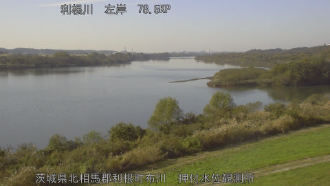 tonos2025112113_image