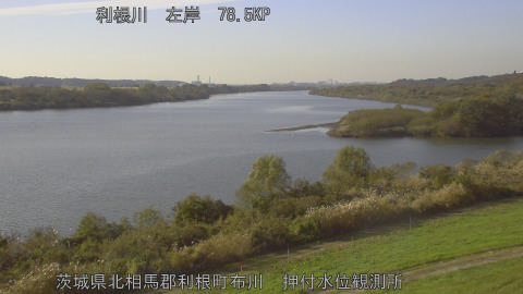 tonos2025112114_image