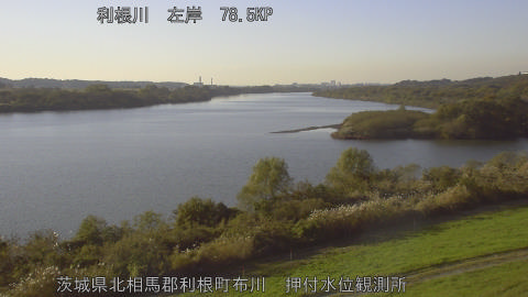 tonos2025112115_image