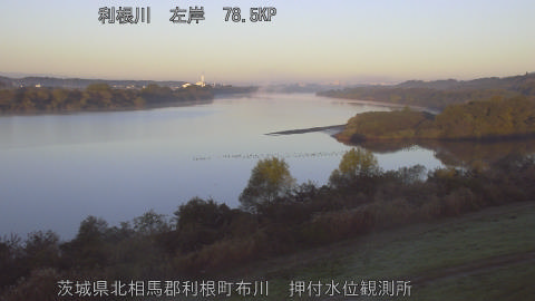 tonos2025112207_image