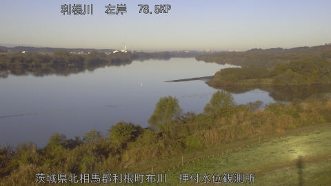 tonos2025112208_image