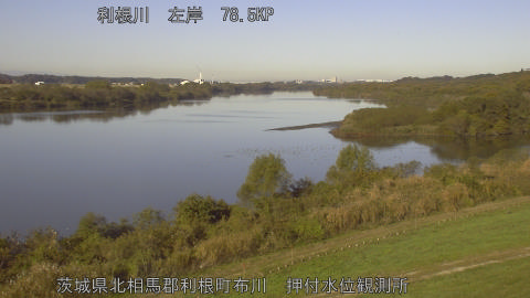 tonos2025112209_image