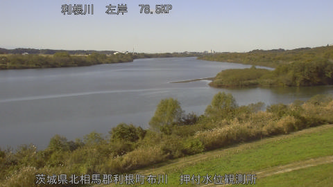 tonos2025112212_image