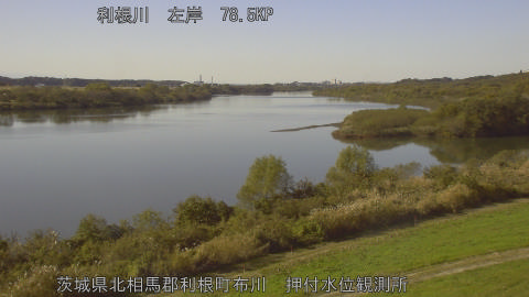 tonos2025112213_image