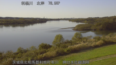 tonos2025112214_image