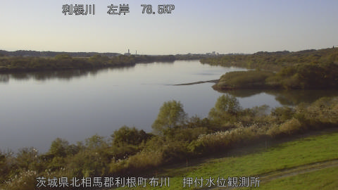 tonos2025112215_image