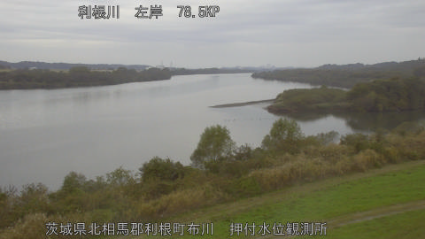 tonos2025112308_image