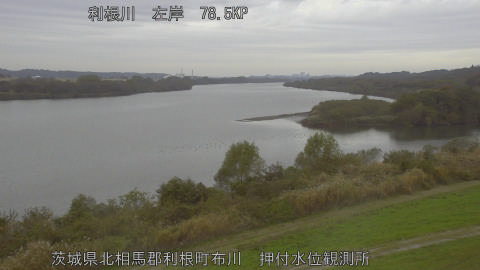 tonos2025112310_image