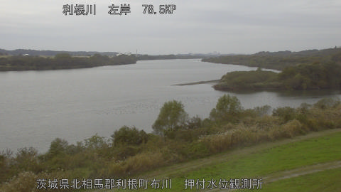 tonos2025112312_image