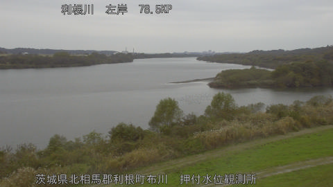 tonos2025112313_image