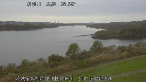 tonos2025112315_image