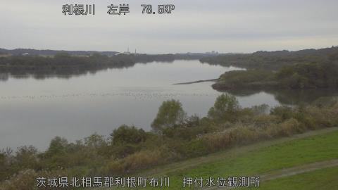 tonos2025112316_image