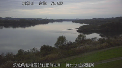 tonos2025112317_image