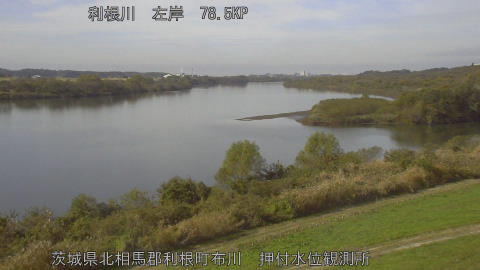 tonos2025112412_image