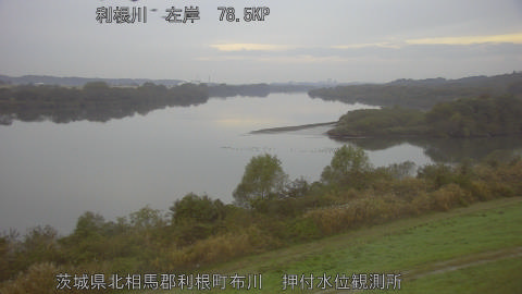 tonos2025112507_image