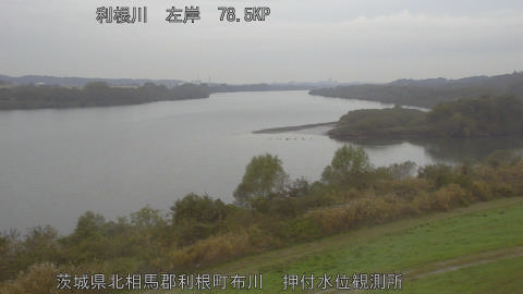 tonos2025112508_image