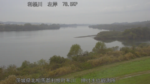 tonos2025112509_image