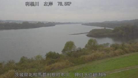 tonos2025112510_image