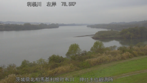 tonos2025112511_image