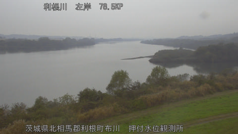 tonos2025112514_image