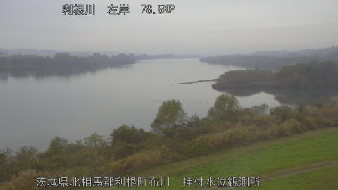 tonos2025112515_image