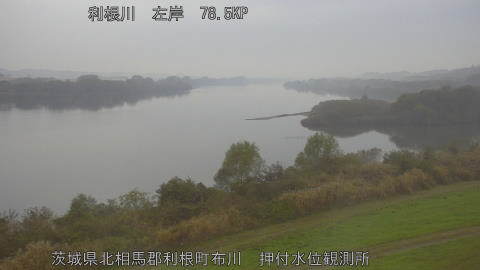 tonos2025112516_image