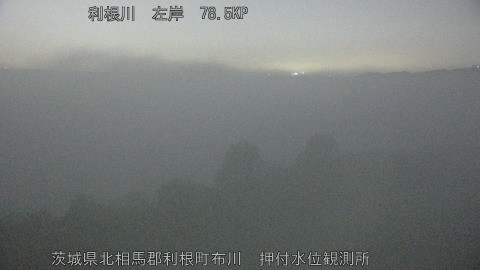 tonos2025112521_image