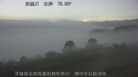 tonos2025112523_image