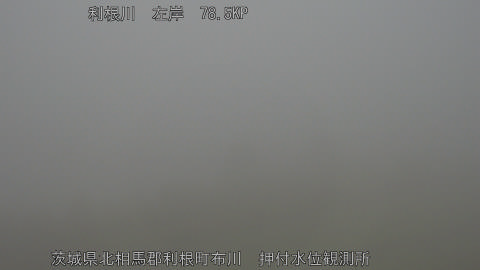 tonos2025112608_image