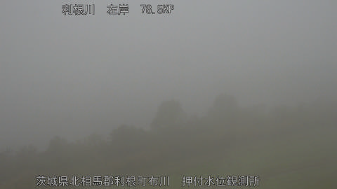 tonos2025112609_image