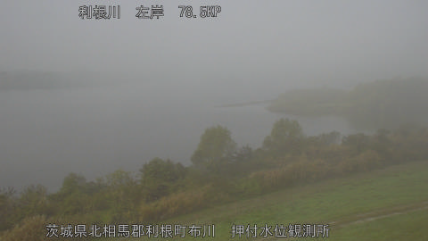 tonos2025112610_image