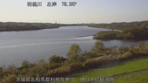 tonos2025112615_image