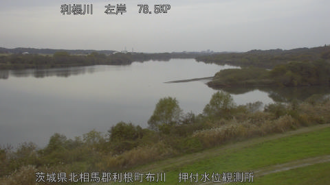 tonos2025112713_image