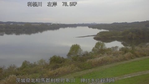 tonos2025112716_image