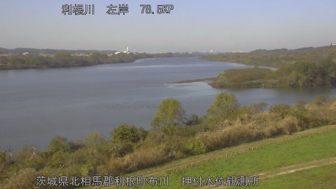 tonos2025112811_image