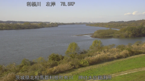 tonos2025112812_image