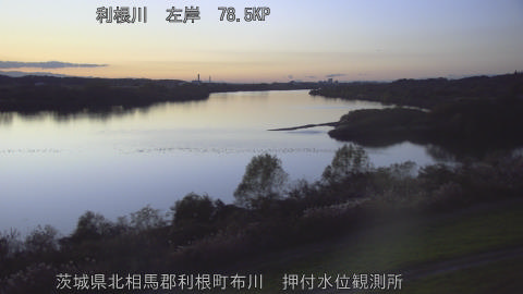 tonos2025112817_image