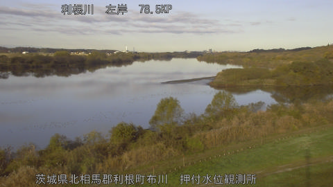 tonos2025112908_image