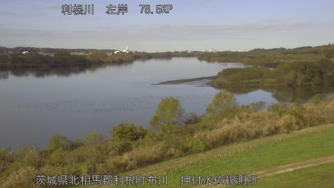 tonos2025112910_image