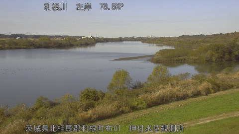 tonos2025112911_image